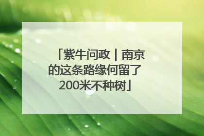 紫牛问政｜南京的这条路缘何留了200米不种树