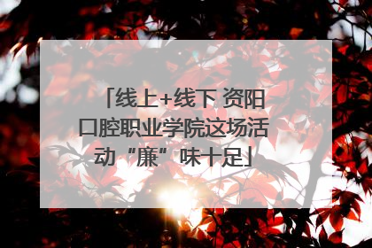 线上+线下 资阳口腔职业学院这场活动“廉”味十足