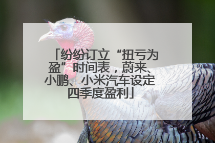 纷纷订立“扭亏为盈”时间表，蔚来、小鹏、小米汽车设定四季度盈利