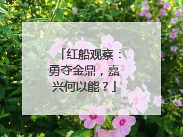 红船观察：勇夺金鼎，嘉兴何以能？