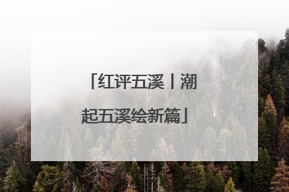 红评五溪丨潮起五溪绘新篇