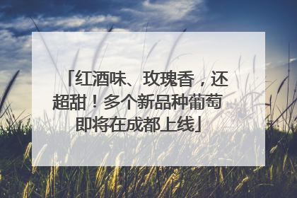 红酒味、玫瑰香，还超甜！多个新品种葡萄即将在成都上线
