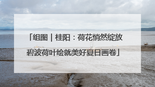 组图｜桂阳：荷花悄然绽放 碧波荷叶绘就美好夏日画卷