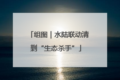 组图｜水陆联动清剿“生态杀手”
