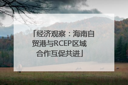 经济观察：海南自贸港与RCEP区域合作互促共进