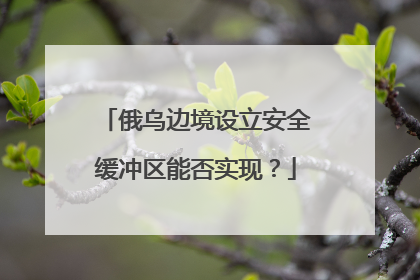 俄乌边境设立安全缓冲区能否实现？