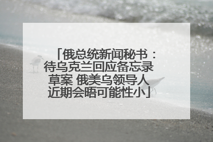 俄总统新闻秘书：待乌克兰回应备忘录草案 俄美乌领导人近期会晤可能性小