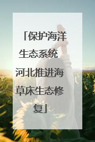 保护海洋生态系统 河北推进海草床生态修复
