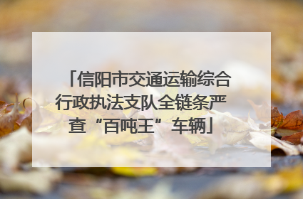 信阳市交通运输综合行政执法支队全链条严查“百吨王”车辆