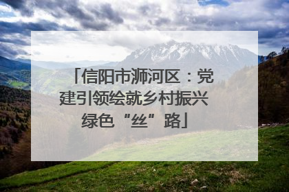 信阳市浉河区：党建引领绘就乡村振兴绿色“丝”路