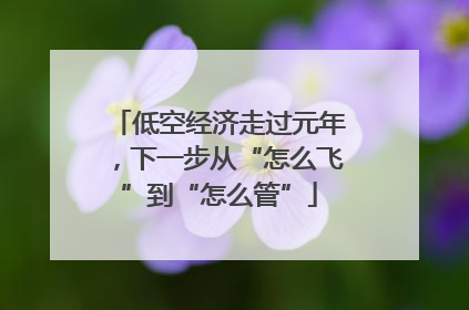 低空经济走过元年，下一步从“怎么飞”到“怎么管”
