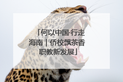 何以中国·行走海南｜侨校飘茶香 职教新发展