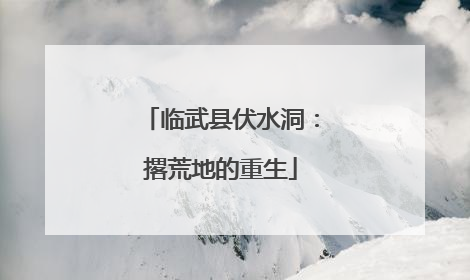 临武县伏水洞：撂荒地的重生