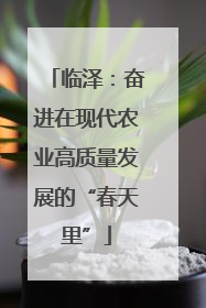 临泽：奋进在现代农业高质量发展的“春天里”