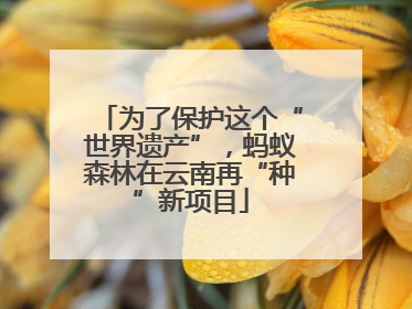为了保护这个“世界遗产”，蚂蚁森林在云南再“种”新项目