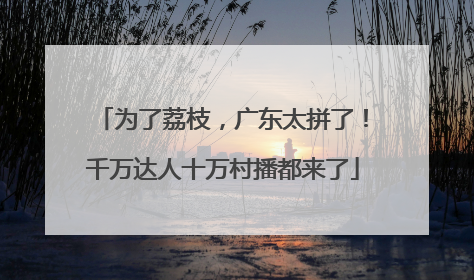 为了荔枝，广东太拼了！千万达人十万村播都来了