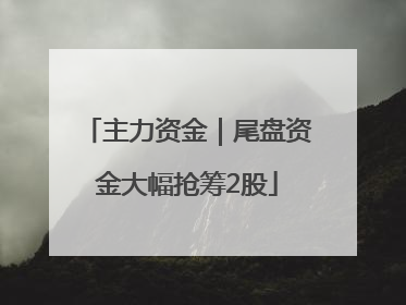 主力资金｜尾盘资金大幅抢筹2股