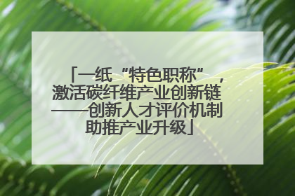 一纸“特色职称”，激活碳纤维产业创新链——创新人才评价机制 助推产业升级
