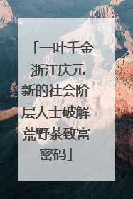 一叶千金 浙江庆元新的社会阶层人士破解荒野茶致富密码
