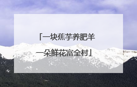 一块蕉芋养肥羊 一朵鲜花富全村