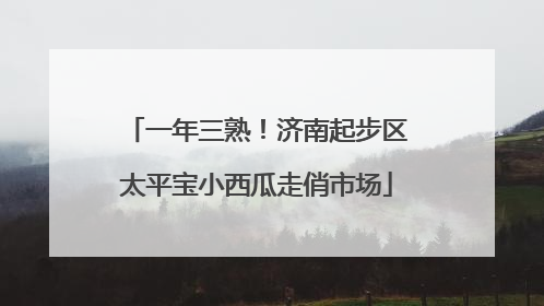 一年三熟！济南起步区太平宝小西瓜走俏市场