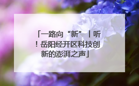 一路向“新”丨听！岳阳经开区科技创新的澎湃之声