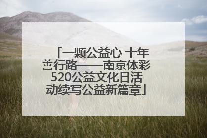 一颗公益心 十年善行路——南京体彩520公益文化日活动续写公益新篇章