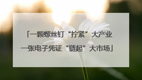 一颗螺丝钉“拧紧”大产业 一张电子凭证“链起”大市场