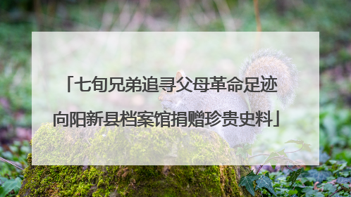 七旬兄弟追寻父母革命足迹 向阳新县档案馆捐赠珍贵史料