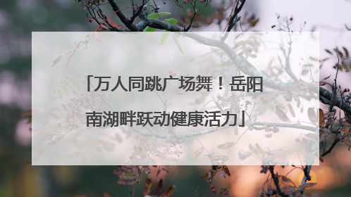 万人同跳广场舞！岳阳南湖畔跃动健康活力