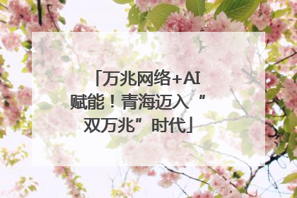 万兆网络+AI赋能！青海迈入“双万兆”时代