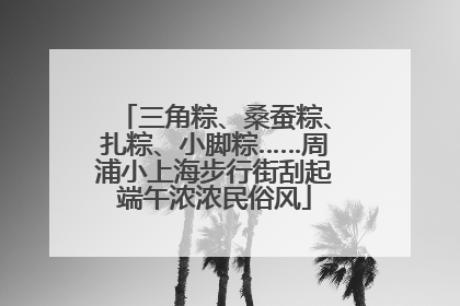 三角粽、桑蚕粽、扎粽、小脚粽……周浦小上海步行街刮起端午浓浓民俗风