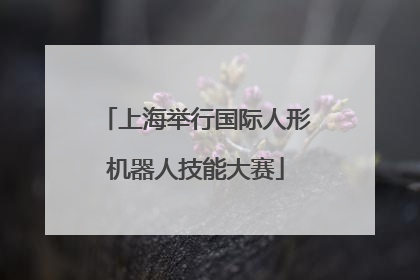 上海举行国际人形机器人技能大赛