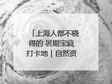 上海人都不晓得的 暑期宝藏打卡地｜自然资源探馆系列②