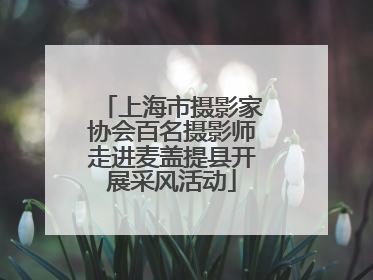 上海市摄影家协会百名摄影师走进麦盖提县开展采风活动