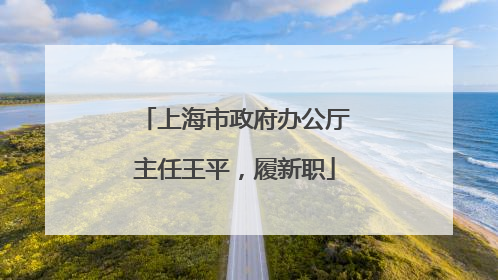 上海市政府办公厅主任王平，履新职