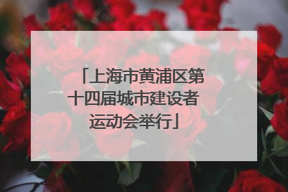 上海市黄浦区第十四届城市建设者运动会举行