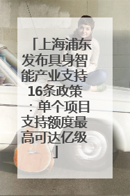 上海浦东发布具身智能产业支持16条政策：单个项目支持额度最高可达亿级