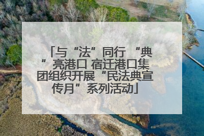与“法”同行 “典”亮港口 宿迁港口集团组织开展“民法典宣传月”系列活动