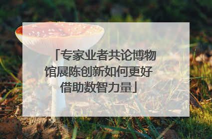 专家业者共论博物馆展陈创新如何更好借助数智力量
