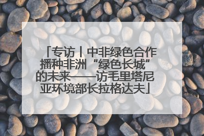 专访丨中非绿色合作播种非洲“绿色长城”的未来——访毛里塔尼亚环境部长拉格达夫