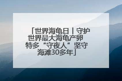 世界海龟日丨守护世界最大海龟产卵 特多“守夜人”坚守海滩30多年