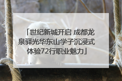 世纪新城开启 成都龙泉驿光华东山学子沉浸式体验72行职业魅力