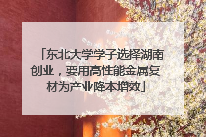 东北大学学子选择湖南创业，要用高性能金属复材为产业降本增效