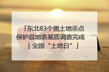 东北83个黑土地重点保护县地表基质调查完成｜全国“土地日”