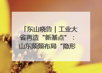东山晓鲁｜工业大省再造“新基点”：山东频频布局“隐形冠军”背后