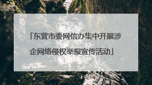 东营市委网信办集中开展涉企网络侵权举报宣传活动