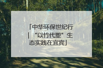 中华环保世纪行｜“以竹代塑”生态实践在宜宾