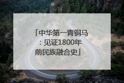 中华第一青铜马：见证1800年前民族融合史