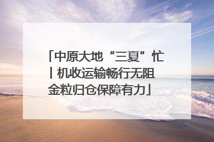 中原大地“三夏”忙丨机收运输畅行无阻 金粒归仓保障有力